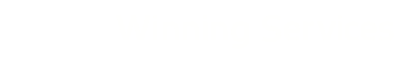 Winning Services Logo